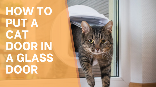 How to Put a Cat Door in a Glass Door