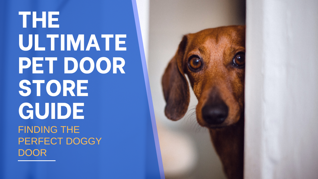 The Ultimate Pet Door Store Guide: Finding the Perfect Doggy Door for Your Furry Friends