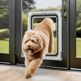 In Glass Dog Door