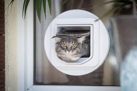 In Glass Cat Door