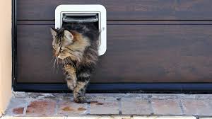 In Garage Cat Door