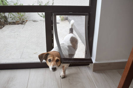 In Glass Dog Flap