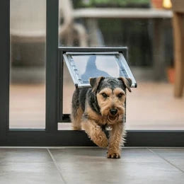 In Glass Dog Door